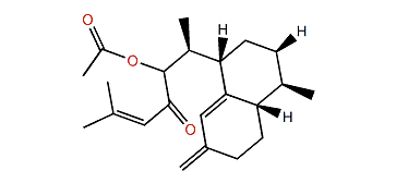 Sinulodurin B